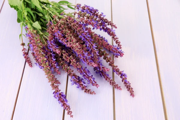 Flores de Salvia sobre fondo de madera púrpura —  Fotos de Stock