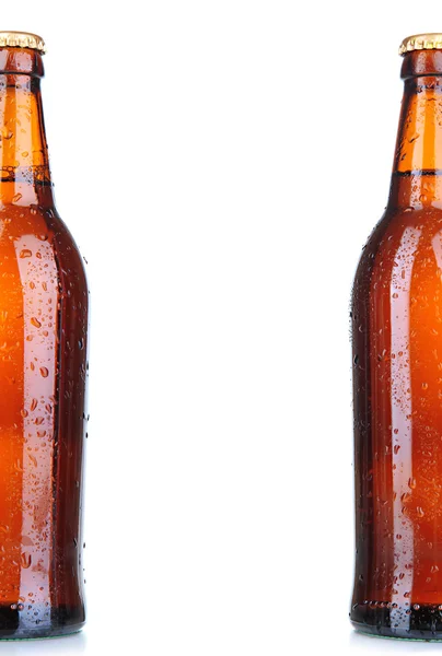 Beer bottles isolated on white — Stock Photo, Image