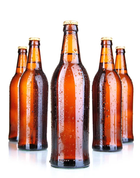 Bottiglie di birra isolate su bianco — Foto Stock