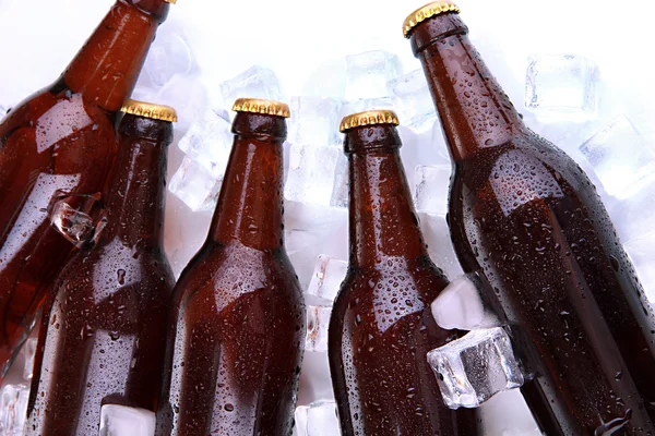 Beer bottles in ice cubes close up — Stock Photo, Image