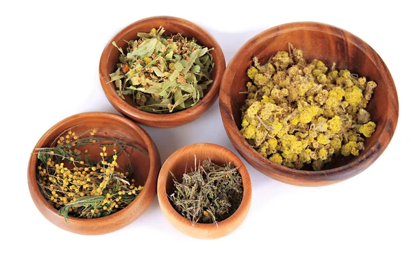 Medicinal Herbs in wooden bowls isolated on white — Stock Photo, Image