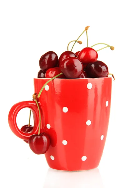 Спелые красные ягоды вишни в чашке изолированы на белом — стоковое фото