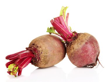 Genç pancar üzerine beyaz izole