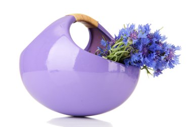 güzel beyaz izole Peygamber sepeti, buket