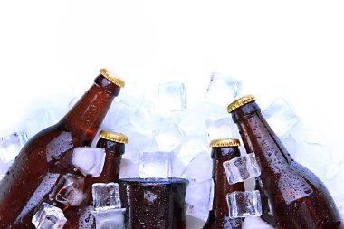 bira şişe buz küpleri yakın çekim