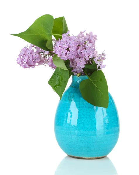 Belles fleurs lilas en vase, isolées sur blanc — Photo