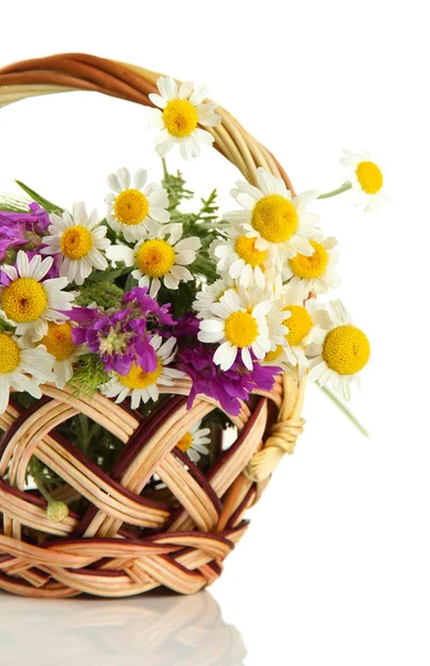 Piękne dzikie kwiaty w koszyku, na białym tle — Zdjęcie stockowe