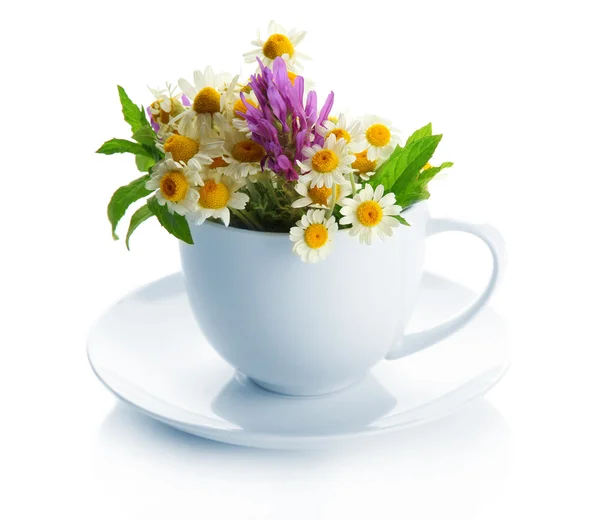 Schöne Wildblumen und Minze in Tasse, isoliert auf weiß — Stockfoto