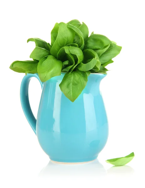 Fresh herb in pitcher isolated on white — Stock Photo, Image