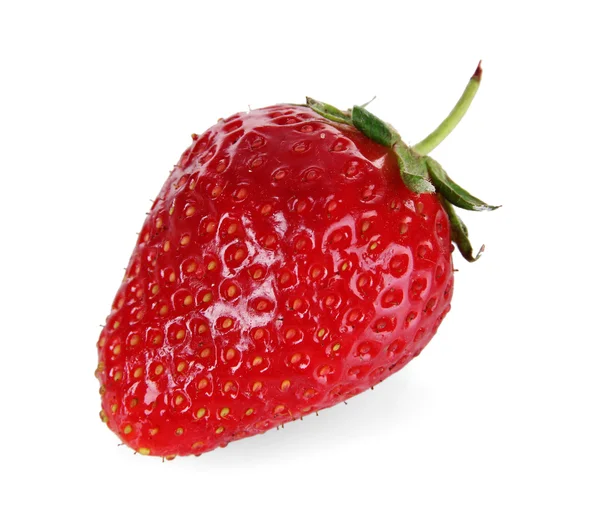 Une fraise isolée sur blanc — Photo