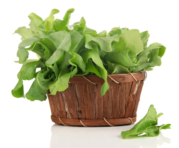 Fresh herb in basket isolated on white — Stock Photo, Image