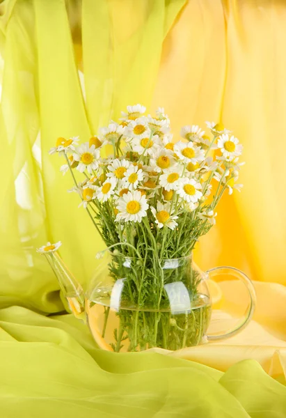 Many chamomile in glass teapot on green cloth background — Stock Photo, Image