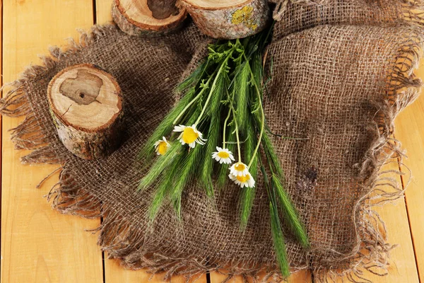 多小穗和木制背景上缎上的洋甘菊 — 图库照片