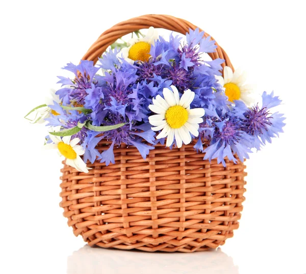 Beautiful bouquet of cornflowers and chamomiles in basket, isolated on white — Stock Photo, Image