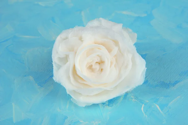 Sugar rose, on color background — Stock Photo, Image