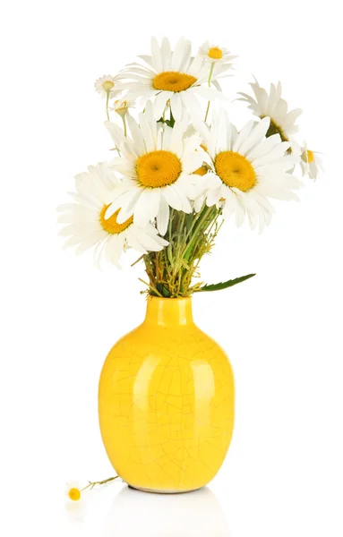 Beautiful bouquet chamomiles in vase isolated on white — Stock Photo, Image