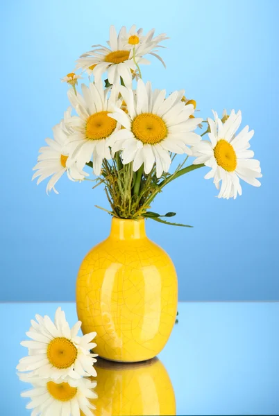 Schöner Strauß Kamillen in der Vase auf farbigem Hintergrund — Stockfoto