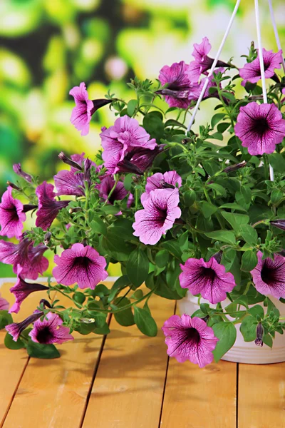 Purple petunia in flowerpot on wooden table on nature background — Stock Photo, Image