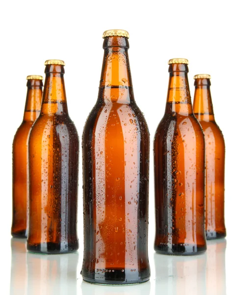 Bottiglie di birra isolate su bianco — Foto Stock
