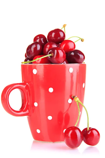 Ripe red cherry berries in cup isolated on white — Stock Photo, Image