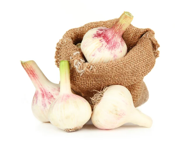 Fresh garlic in sackcloth bag, isolated on white — Stock Photo, Image