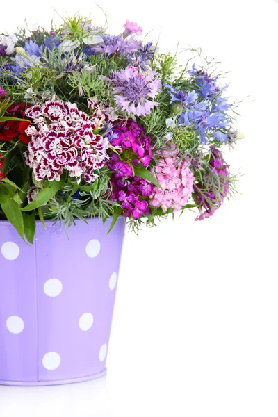 Beautiful bouquet in pail isolated on white — Stock Photo, Image