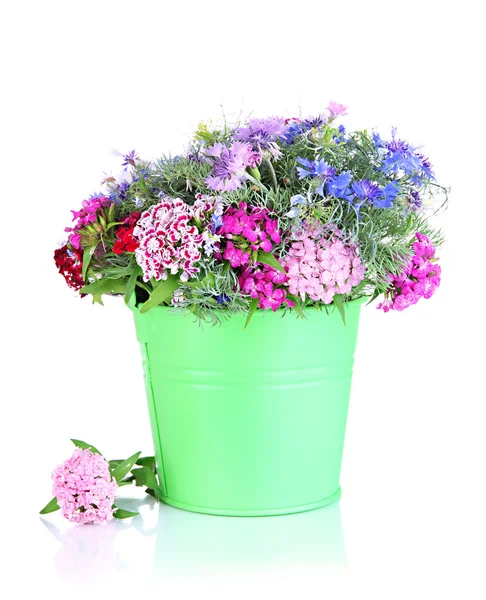 Beautiful bouquet in pail isolated on white — Stock Photo, Image