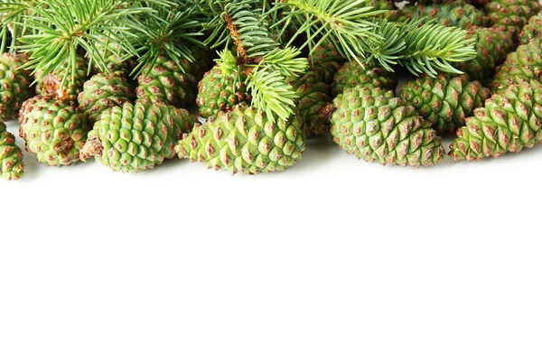 Cones verdes e abeto isolado em branco — Fotografia de Stock