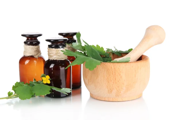 Blooming Celandine with medicine bottles isolated on white — Stock Photo, Image