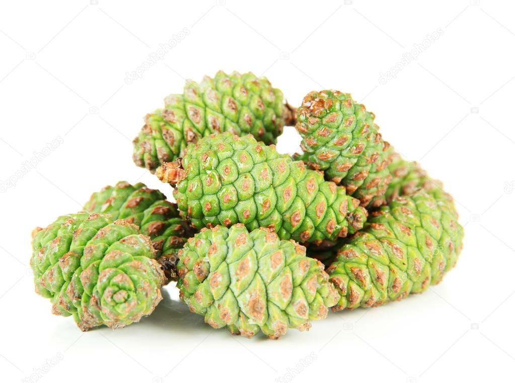Green pine cones isolated on white