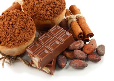 çikolatalı tatlılar, kakao ve baharat üzerine beyaz izole, kompozisyon
