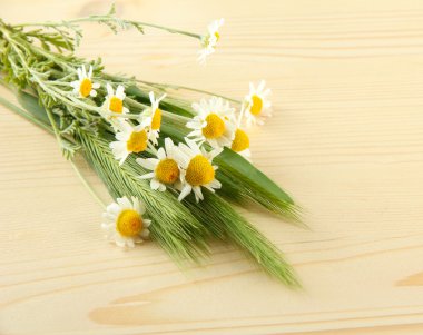 Yeşil spikelets ve ahşap zemin üzerinde vahşi camomiles