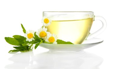 yabani camomiles ve nane, bitkisel çay beyaz izole