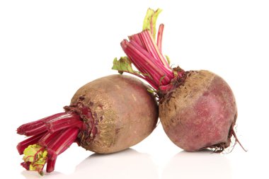 Genç pancar üzerine beyaz izole