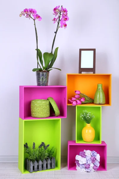 Vackra färgglada hyllor med olika hem relaterade objekt — Stockfoto