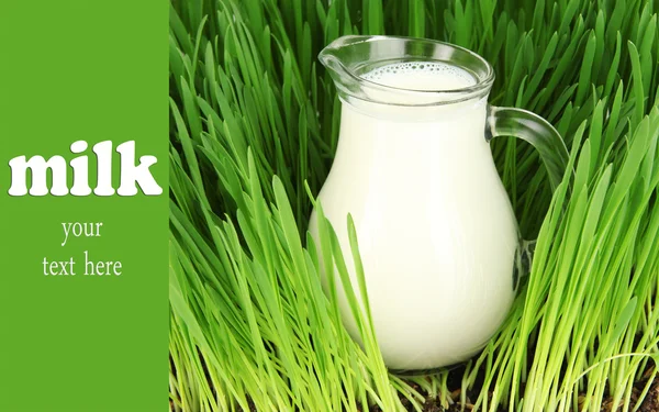Glas tillbringare av mjölk står på gräset på nära håll — Stockfoto
