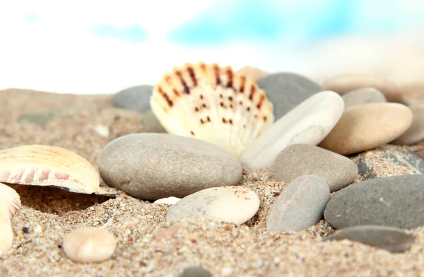 Zee stenen op zand op lichte achtergrond — Stockfoto