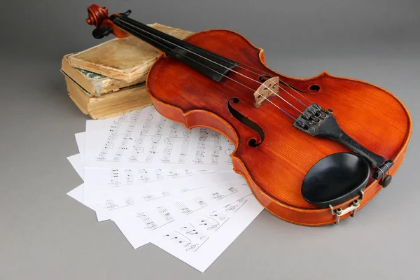 Classical violin on notes — Stock Photo, Image