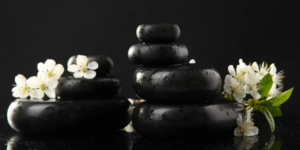 Piedras de spa y flores blancas aisladas en negro —  Fotos de Stock