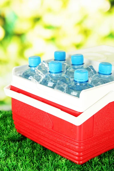 Picnic refrigerator with bottles of water and ice cubes on grass — Stock Photo, Image