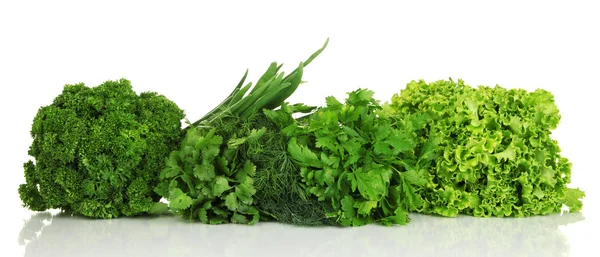 Useful herbs isolated on white — Stock Photo, Image