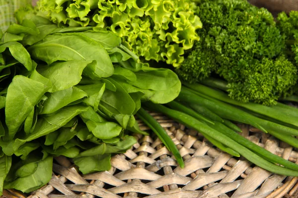 Useful herbs close up — Stock Photo, Image