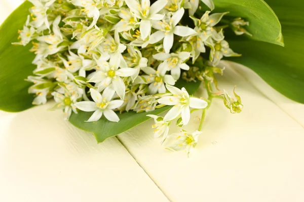 Prachtige berg narcissen in kleur vaas, op een houten achtergrond kleur — Stockfoto