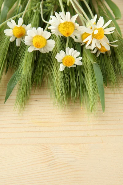 Green spikelets and wild camomiles, on wooden background — Stock Photo, Image