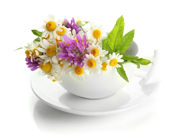 Prachtige wilde bloemen en munt in cup, geïsoleerd op wit — Stockfoto