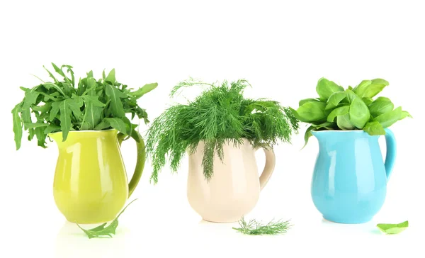 Fresh herbs in pitchers isolated on white — Stock Photo, Image