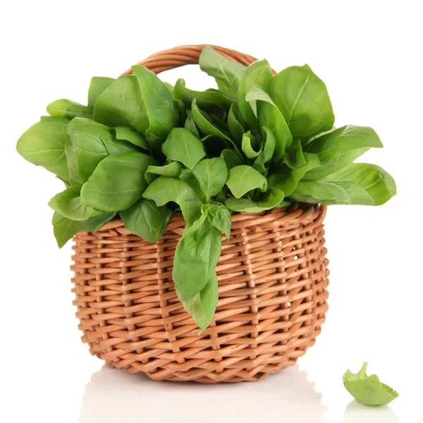 Fresh herb in basket isolated on white — Stock Photo, Image