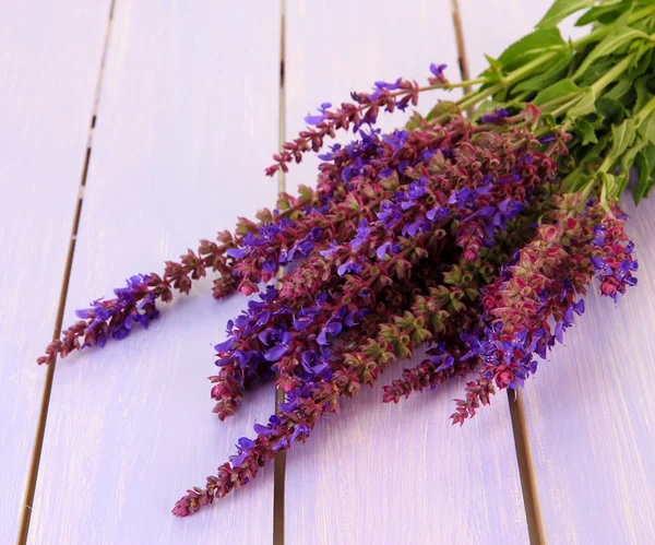 Salvia-Blüten auf violettem Holzgrund — Stockfoto