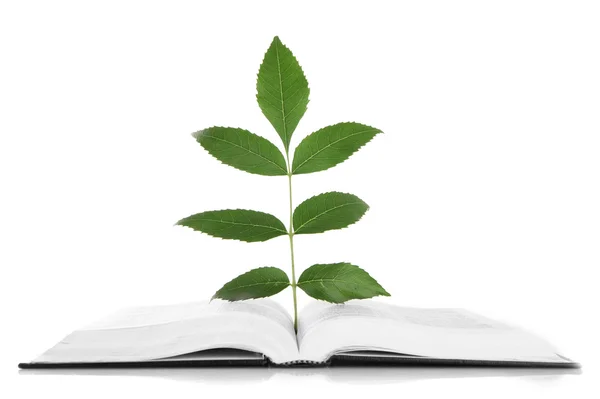 Buch mit Pflanze isoliert auf weiß — Stockfoto
