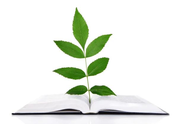 Book with plant isolated on white — Stock Photo, Image